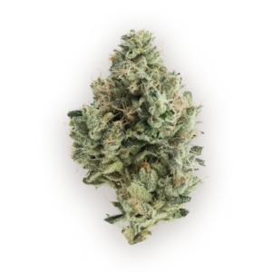 Jet Lag OG | Flower | 3.5g