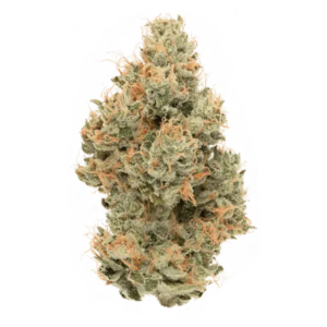 Tropicanna | Flower | 14g