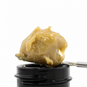Bloogotti | HUMBOLDT TERP COUNCIL | Live Rosin Cannabis Extract | 1g