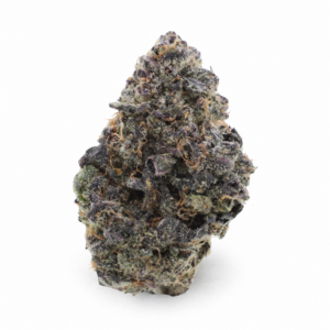 Coco Lato | Clubhouse Drops | Flower | 3.5G