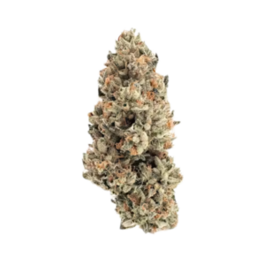 Orange Wifi | Awesome Dope | Indoor Flower | 3.5g