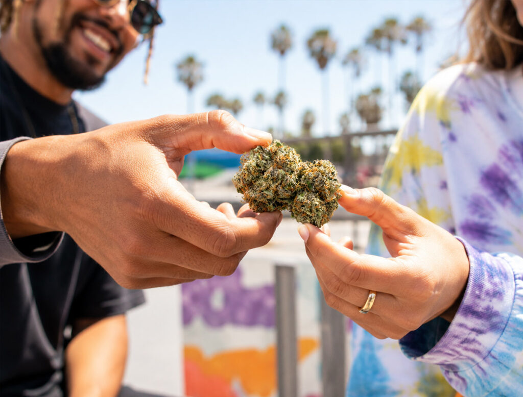 holding-thca-flower